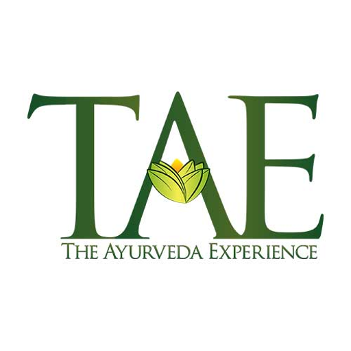 The Ayurveda Experience FR
